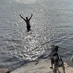 Wildernest Bornholm - Hjorten *