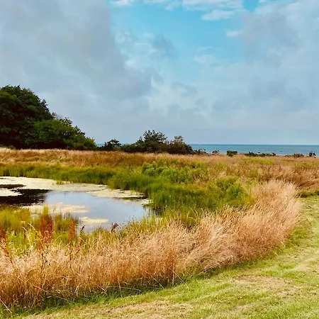 Wildernest Bornholm - Hjorten *